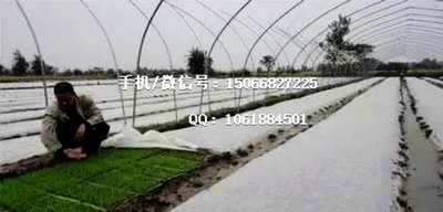 Rice Seedling Non-woven Fabric